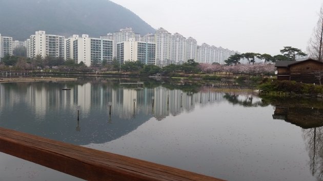 蓮池公園の水面に映る山やマンション